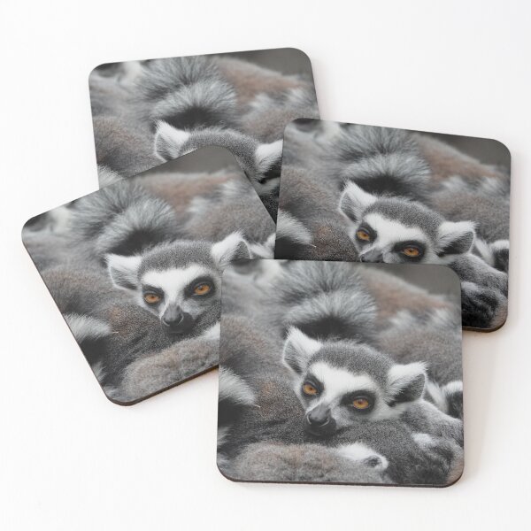 Item preview, Ring-tailed lemur bundle designed and sold by Anirutgu.