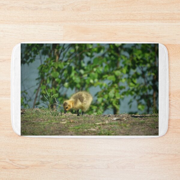 Item preview, A single Canada goose chick designed and sold by Anirutgu.