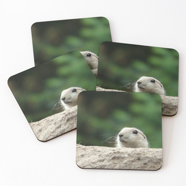 Item preview, A peeking prairie dog designed and sold by Anirutgu.