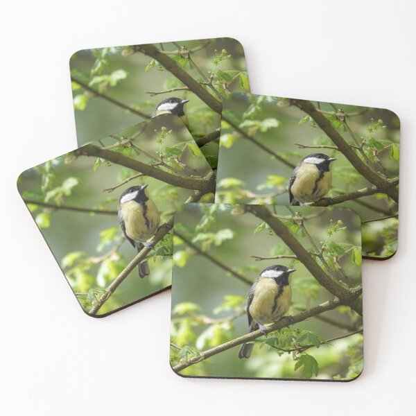 Item preview, Great tit in a tree designed and sold by Anirutgu.