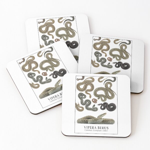 Item preview, Vipera berus - Common European Adder designed and sold by CM-Reptiler.