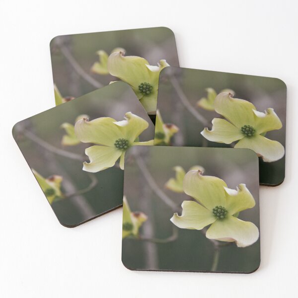 Item preview, Yellow Dogwoods... designed and sold by Poete100.