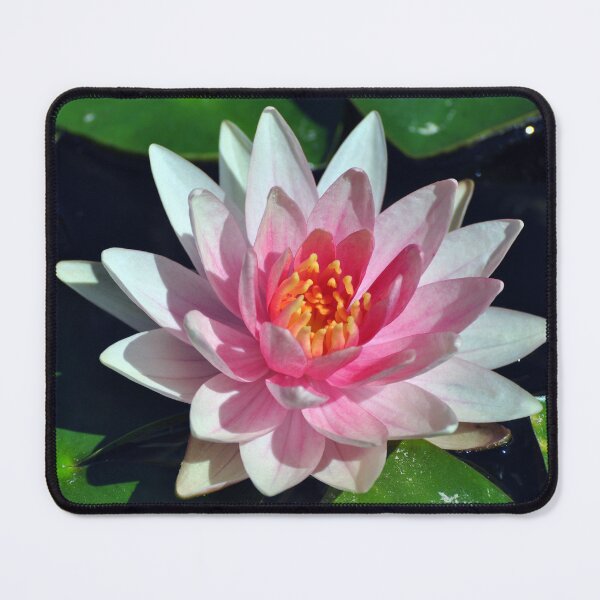 Item preview, Water Lily designed and sold by Savannah Gibbs.