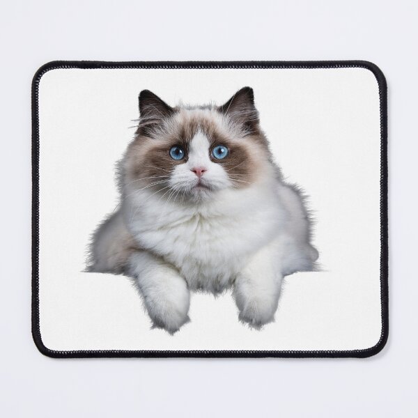 Item preview, Ragdoll Cat designed and sold by silviaol.