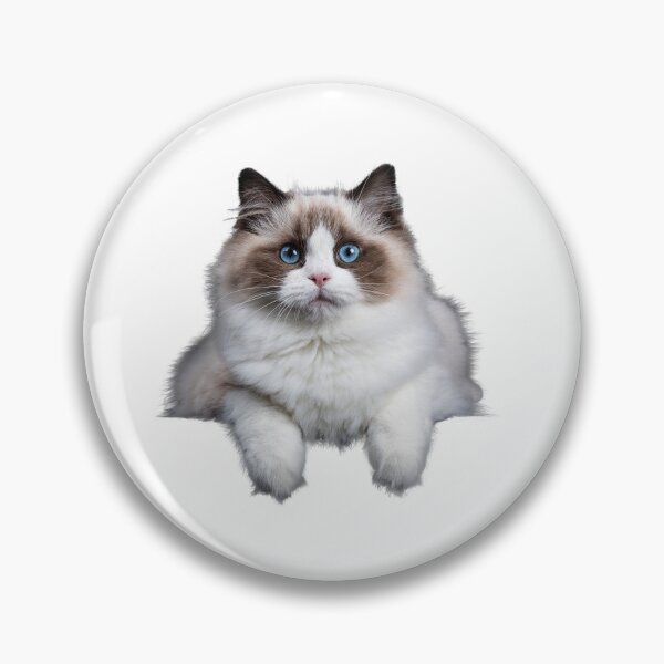 Aperçu de l'œuvre Chat Ragdoll créée et vendue par silviaol.