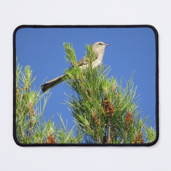 Item preview, Singing birdie in pine  designed and sold by Sedonaroma.