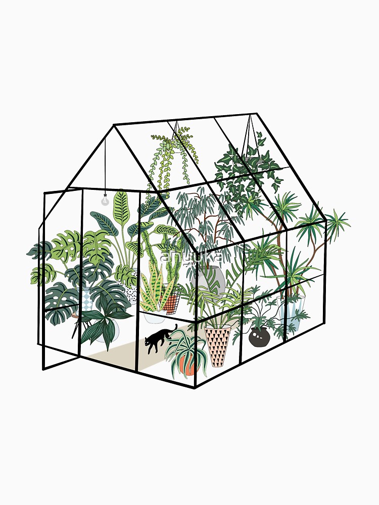 invernadero con plantas de anyuka