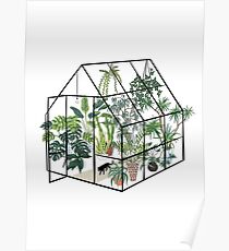 greenhouse with plants Poster