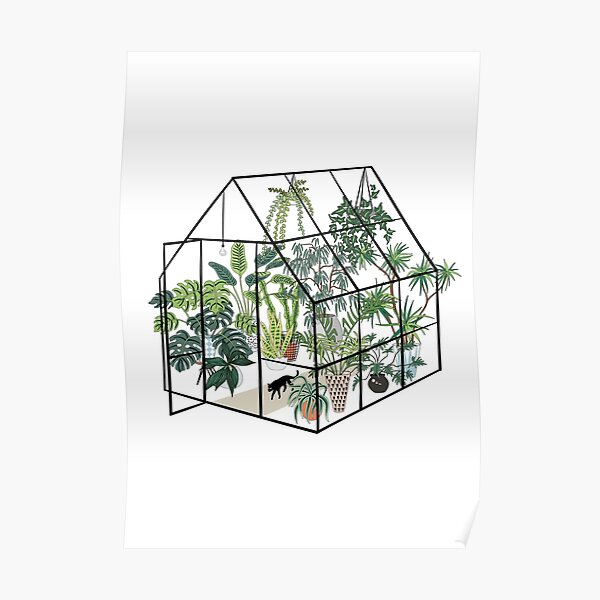 serre avec des plantes Poster