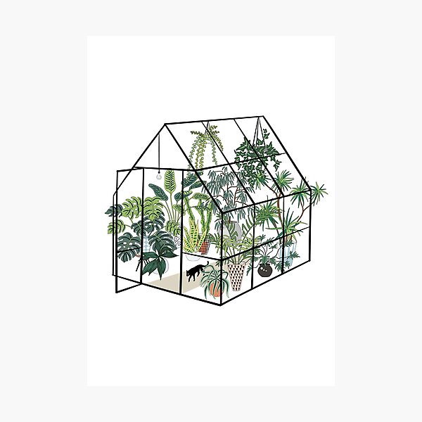 greenhouse with plants Photographic Print