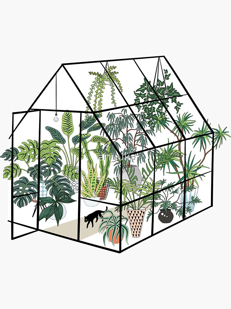 greenhouse with plants by anyuka