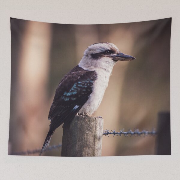 Item preview, Kookaburra designed and sold by PVphotography.