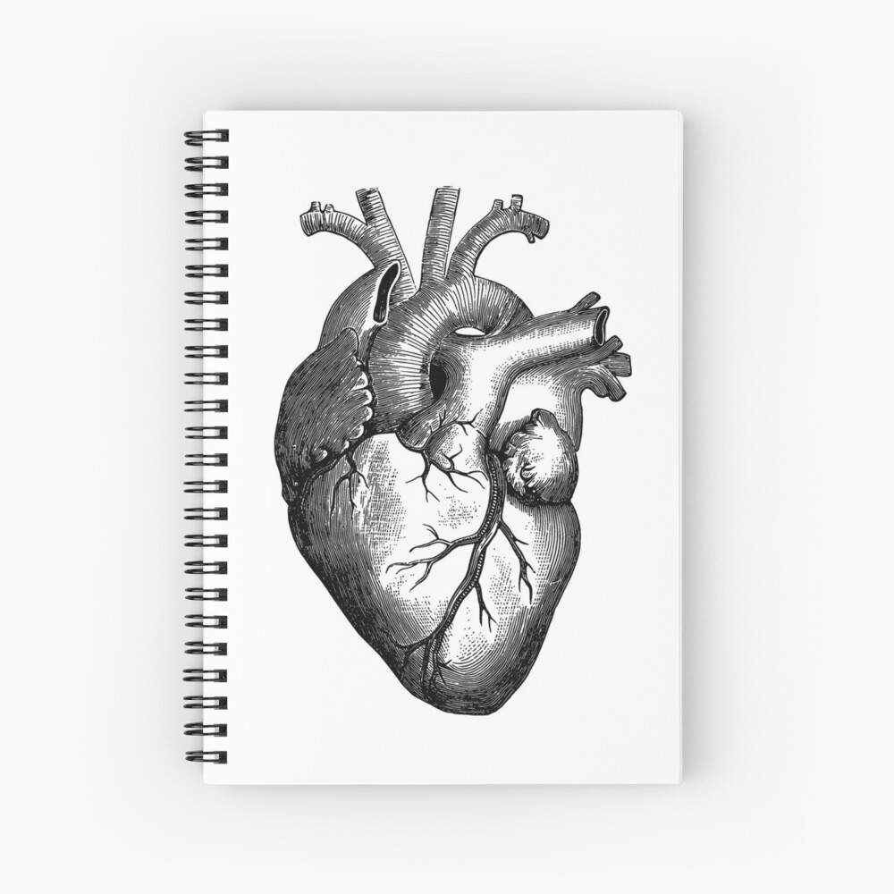 Human heart with arrow drawing. Real vector love heart tattoo etching  vector illustration Stock Vector | Adobe Stock