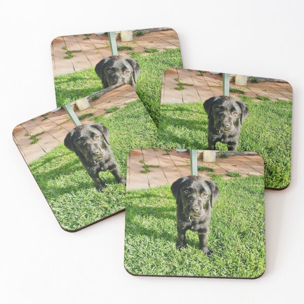Item preview, 'Kali' the Dog designed and sold by atomikboy.