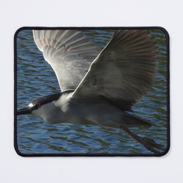 Item preview, Black Crown Night Heron 1 designed and sold by Jeffrey Mask.