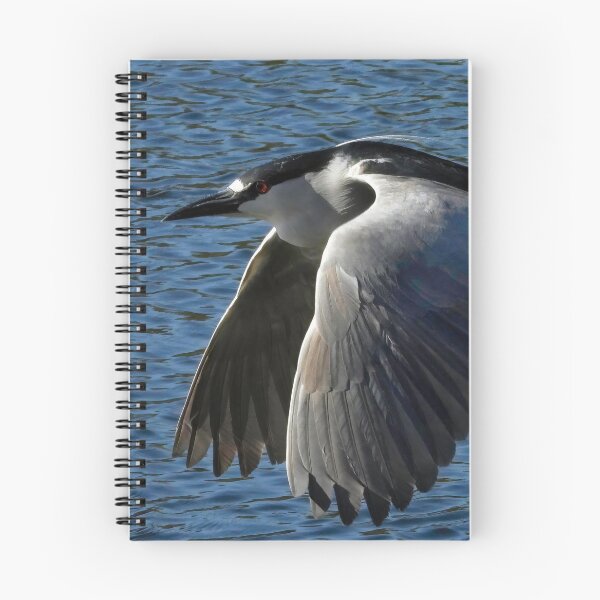 Item preview, Black Crown Night Heron 2 designed and sold by Jeffrey Mask.