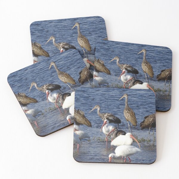 Item preview, Ibis and Limpkins designed and sold by Jeffrey Mask.