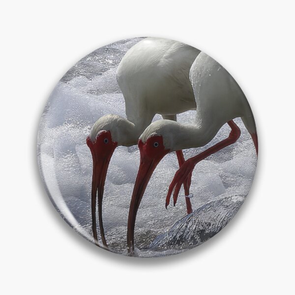 Item preview, Beach Walking White Ibis designed and sold by Jeffrey Mask.