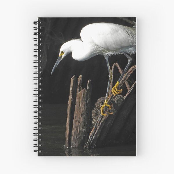 Item preview, Snowy Egret 4 designed and sold by Jeffrey Mask.