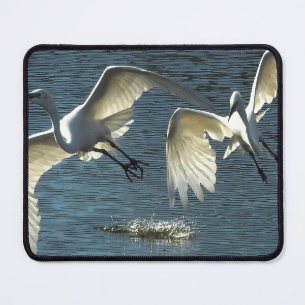 Item preview, Great Egret 1 designed and sold by Jeffrey Mask.
