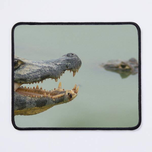 Item preview, caimans designed and sold by Yves Roumazeilles (Wild Focus).