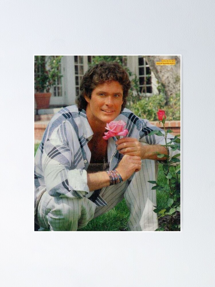 "david Hasselhoff" Poster For Sale By SannPrintt | Redbubble