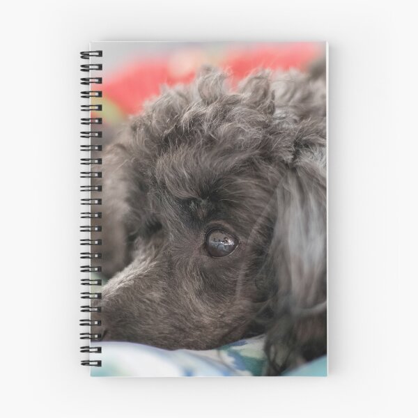 Item preview, Poodle Toy designed and sold by KensLensDesigns.