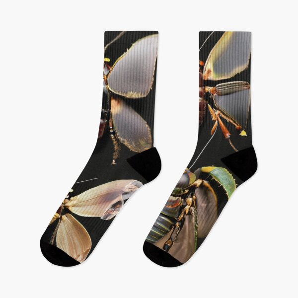 Item preview, Insects for a collection designed and sold by jsebouvi.