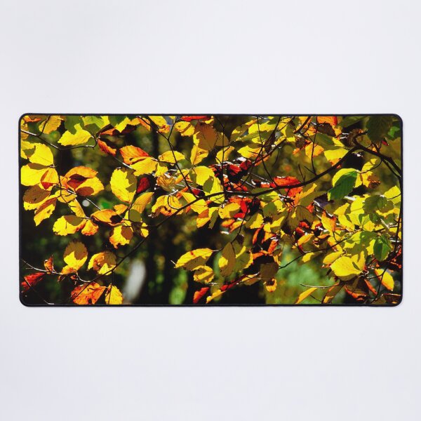 Item preview, Fall Leaves in Golden light, Backlit trees designed and sold by JonDelorme.