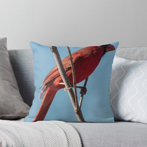 Item preview, Doing the Splits!  designed and sold by barnsis.