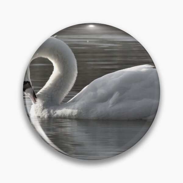 Item preview, Mute Swan Preening Feathers designed and sold by Jeremy Hayden.