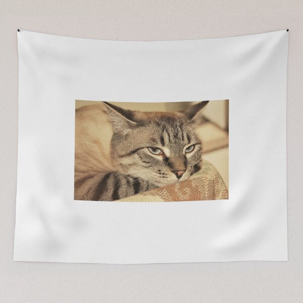 Item preview, Siamese Cat designed and sold by AlbertMyra7.