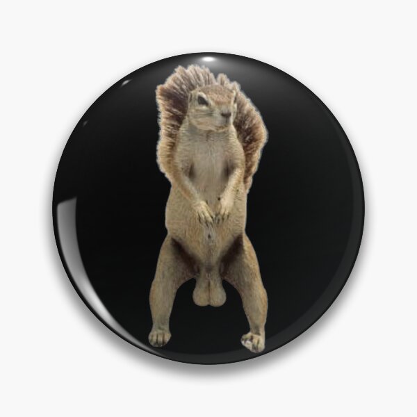 Item preview, Funny testicles squirell designed and sold by vaomuavai.