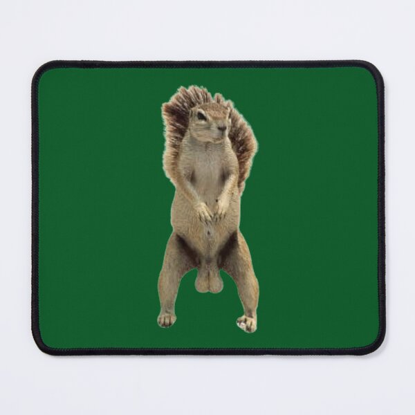 Item preview, Funny testicles squirell designed and sold by vaomuavai.