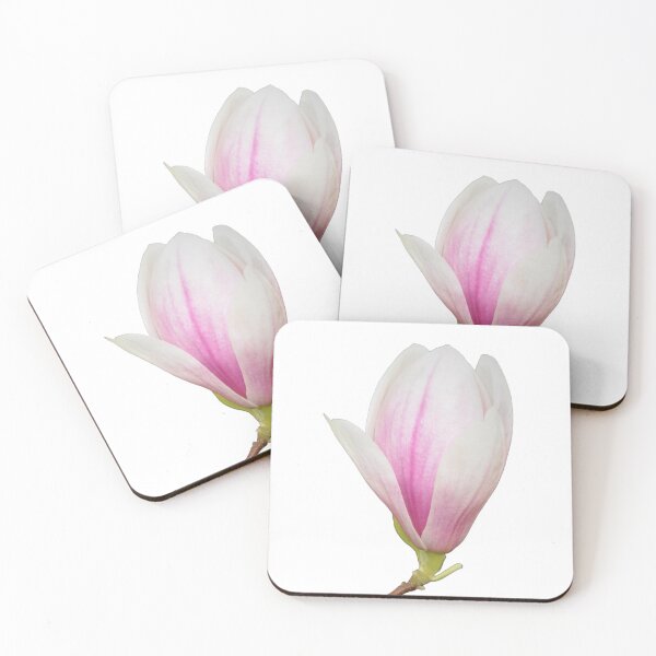 Item preview, Tulip Magnolia Tree Bloom designed and sold by Louise-Mae.