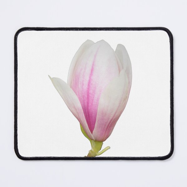 Item preview, Tulip Magnolia Tree Bloom designed and sold by Louise-Mae.