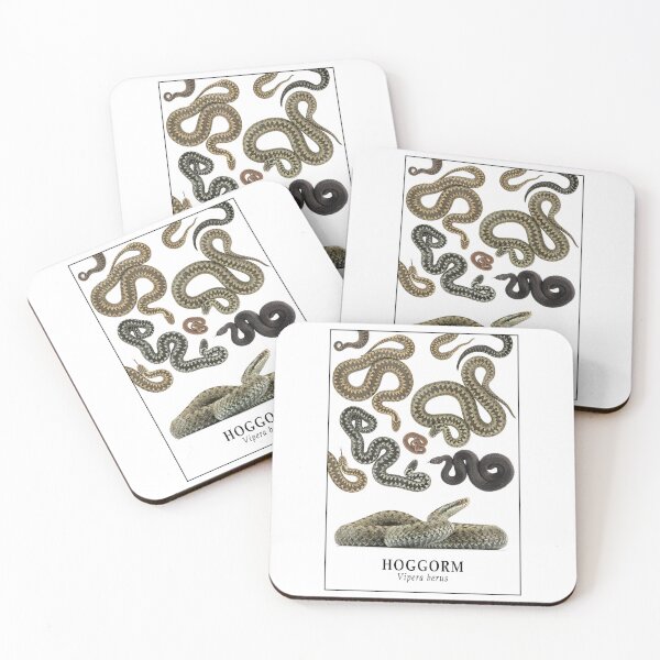 Item preview, Hoggorm - Vipera berus designed and sold by CM-Reptiler.