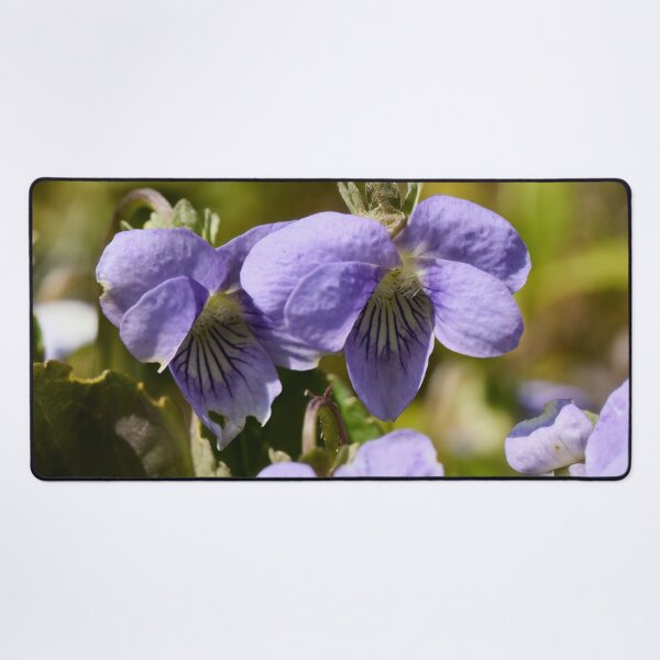 Item preview, Bog Violet twins designed and sold by Jouko Lehto Photography.