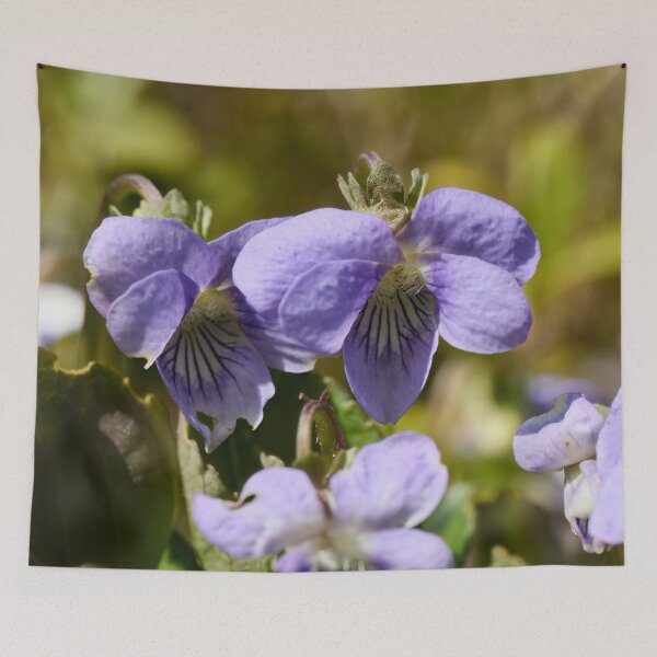 Item preview, Bog Violet twins designed and sold by Jouko Lehto Photography.