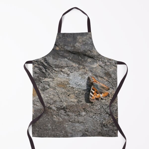 Item preview, On the flat bed, Small tortoiseshell designed and sold by Jouko Lehto Photography.