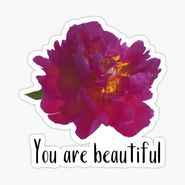 Peonie - You are beautiful Sticker