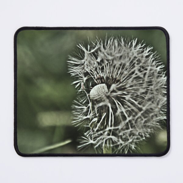 Item preview, Blown Away designed and sold by Denise Abé.
