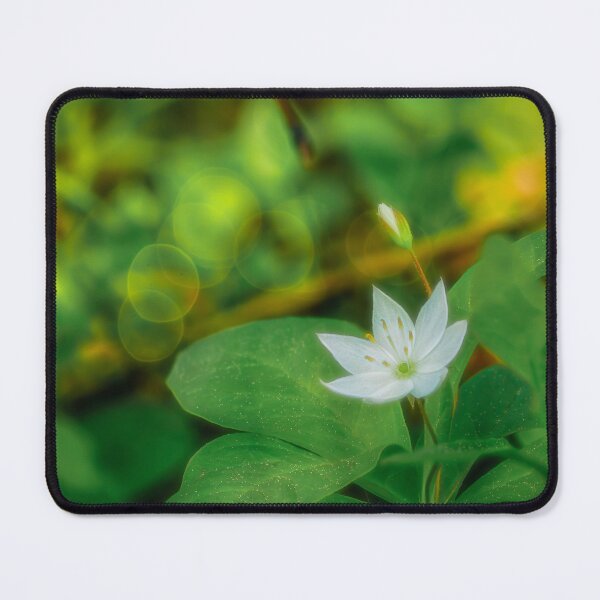 Item preview, Forest star designed and sold by Veikko Suikkanen.