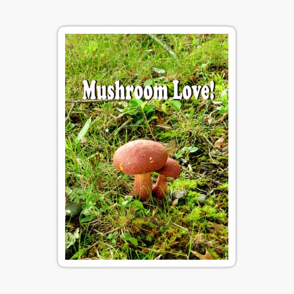 Mushroom Lovers Unite! Sticker