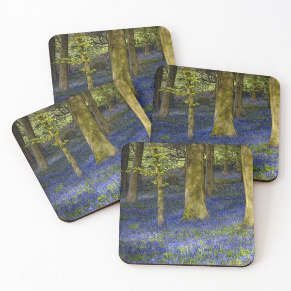 Item preview, Sheringham Bluebells designed and sold by Viv Thompson Photography .