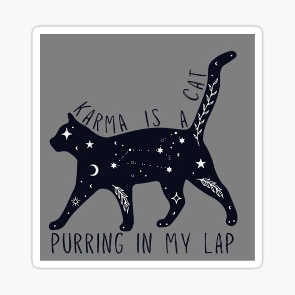 Karma is a Cat Sticker  Taylor Swift Vinyl Stickers – handsomeprintsdesign