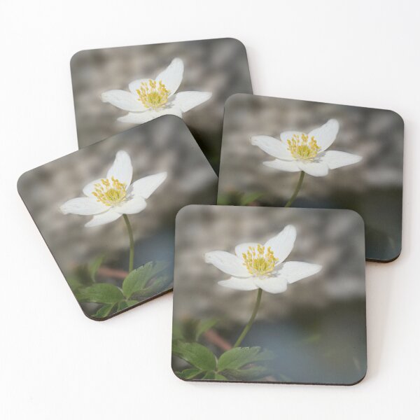 Item preview, Facing the sun. Wood anemone designed and sold by Jouko Lehto Photography.