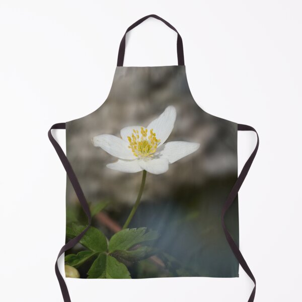 Item preview, Facing the sun. Wood anemone designed and sold by Jouko Lehto Photography.