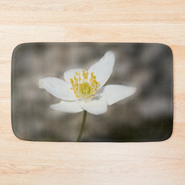 Item preview, Facing the sun. Wood anemone designed and sold by Jouko Lehto Photography.