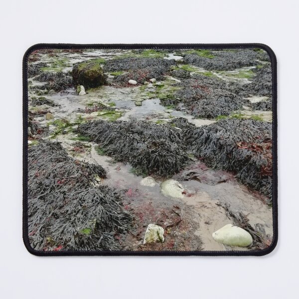 Item preview, Sand, Sea, and Stones, Sculpted by the Sea. designed and sold by Alchemia.